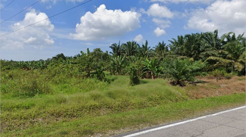 Pontian Agriculture Land For Sale