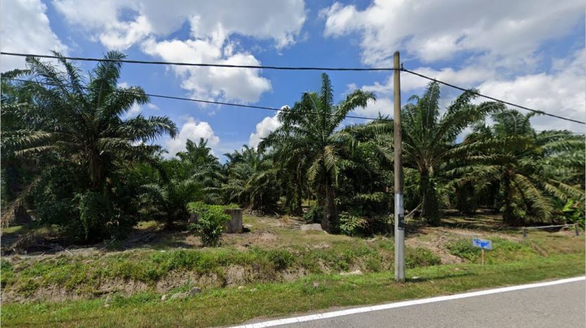 Pontian Agriculture Land For Sale